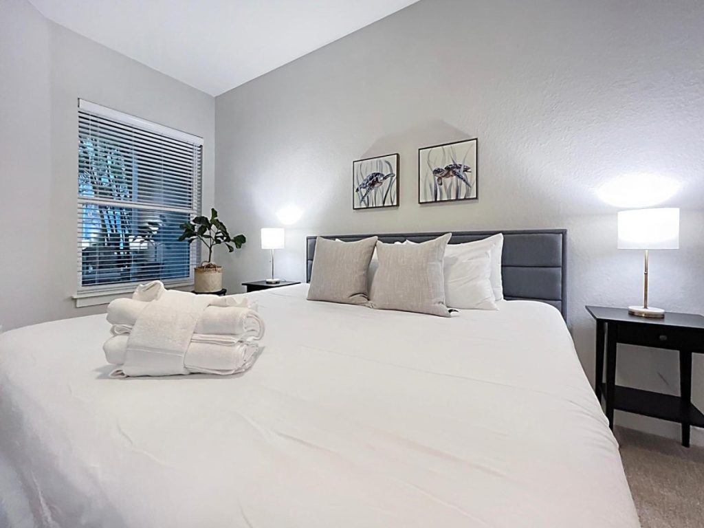 Today in Tampa Bay July 2023 Ready Stays Fully Furnished